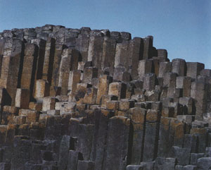 Near hexagonal columns of the Giant's Causeway, Northern Ireland, defined by a network of fractures formed during cooling and solidification of a series of basaltic lava flows. From Aydin and DeGraff (1988).