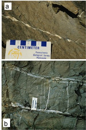 (a) Bed-parallel slip associated with incipient thrust faults and the related rhomb-shaped pull-apart veins and pressure solution seams (dark lines diagonal to the fault trace) at Bays Mountain, Tennessee. (b) A photograph showing two small bed-parallel thrust fault zones marked by elongated calcite veins and a series of orthogonal veins and diagonal pressure solution seams. Note that the veins in this case are perpendicular to the bedding plane faults. From Ohlmacher and Aydin (1995).