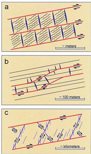 Schematic illustration of the growth of the thrust fault in the Sevier Shale during the Alleghanian Orogeny affecting the Appalachian Mountains. (a) bed-parallel thrust fault arrays with bedding normal veins. Wavy lines between the veins represent bed-oblique splay pressure solution seams. (b) faults develop across multiple layers, connected by the splay pressure solution seams. Fault-normal veins connect the intermediate thrust faults. (c) Normal faults with apparent conjugate pattern develop between the thrust fault array. From Ohlmacher and Aydin (1995).