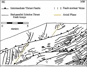 A map of a portion of the highway cuts at Bays Mountain showing a series of intermediate size thrust faults with several meters offset and the associated veins.  From Ohlmacher and Aydin (1995).