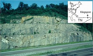 Face of a highway (US 19E) cut showing folded, fractured and faulted carbonaceous shale (Ordovician Sevier Shale) across Bays Mountain, near Kingsport, Tennessee. From Ohlmacher and Aydin (1995).
