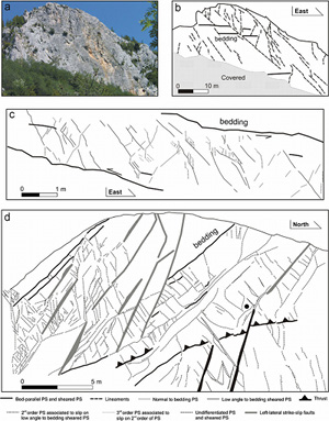Structures present within the Bolognano Fm. (a) Photograph and (b) map of the large-scale lineaments visible from the Avello Creek trail. (c) Small scale structures mapped along the same trail. The thrust faults developed from oblique, low angle to bedding PS, which were sheared localizing second order PS splays at their terminations. (d) Road cut exposure parallel to bed-strike showing a typical network of PS present near the frontal thrust. From Antonellini et al. (2008).
