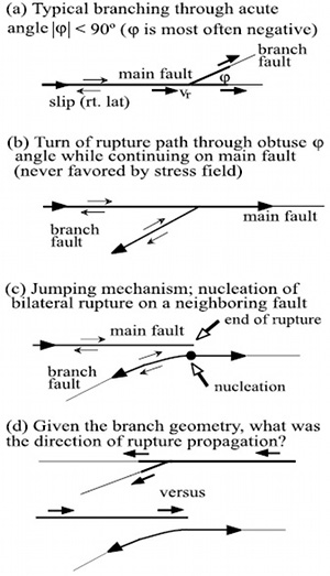 A summary of branch geometries and rupture directivity with an emphasis to backward rupture directivity. From Fliss et al. (2005).