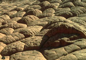 A spectacular image of dome-shaped landforms which are bounded by polygonal joints in the Navajo Sandstone exposed at the Buckskin Gulch across the southeastern Utah-northern Arizona border. The larger polygons have diameters of several meters and the smaller polygons within the large ones have diameters of tens of centimeters. Note a backpack and a hammer on the lower left corner for scale.