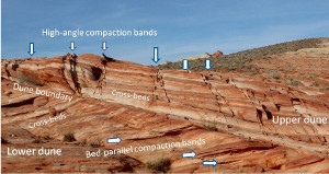 Two distinct compaction band domains in adjacent dunes. The upper dune contains compaction bands at high-angle to the cross beds and the lower dune has low-angle bed-parallel compaction bands.