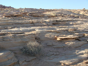 A series of compaction bands parallel or sub-parallel to flat-lying beds in the Aztec sandstone, Valley of Fire State Park, Nevada. The bands have a high relief on the exposure surface. View due north and thickness of the exposure is about 20 meters.