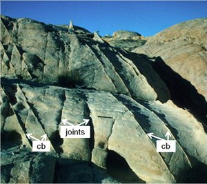 One set of compaction bands (cb) with high relief and a younger set of joints with low relief, diagonal to the compaction bands in the Aztec Sandstone, Valley of Fire State Park, Nevada.