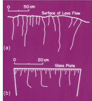 (a) Spacing of an array of thermal fractures which started from the surface of a lava flow and propagated down towards the interior as seen at a cross section. The spacing is small at or near the top surface and increases towards the interior by the elimination of some of the fractures in the array. From DeGraff (1987). (b) A similar pattern showing a more systematic fracture elimination in a glass plate (unknown source).