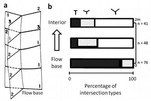 (a, b) Distribution of intersection angles of columnar joints as a function of the distance from cooling boundary surfaces. Orthogonal intersections (T-intersections) are dominant at the boundary surfaces, while the dominant angle approach gradually to a 120 degree (Y-intersection) at the interior, 2m from the surface. The number of measurements at each traverse (n) on the right-hand side. From Aydin and DeGraff (1988).