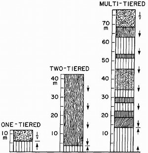 Single tier, two-tier, and multi-tier columns in lava flows. From DeGraff and Aydin (1987).