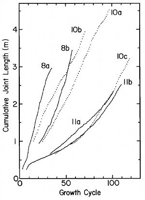 A plot showing columnar fracture lengths measured along the column axes which are commonly vertical versus cycle (segment) number of cooling surfaces. The curves are concave upward, indicating an increasing segment height towards the interior. From DeGraff and Aydin (1993) and the references therein.