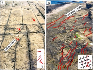 Joint patterns with at least three sets. The first two sets form a chocolate-tablet-shaped orthogonal grid pattern (a) and the youngest set is diagonal to the earlier sets and formed as splay fractures in response to the shearing of one of the orthogonal sets as shown in the detailed photograph (b). Photographs courtesy of Neil Grant of ConocoPhillips. Interpretation and maps by A. Aydin.