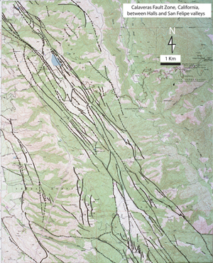 Fault strands within the central Calaveras Fault zone between Halls Valley in the NW and San Felipe Valley in the southeast. Mapped by Aydin and Page, unpublished.