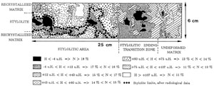 Radiological map drawn on computerized reconstructed cross-sections obtained on the sample and normal to the plane shown in the previous figure. Three main zones were found, with the stylolitic area divided into two parts: the stylolite s.s., made up of insoluble residue concentrations and, on either side, part of the rock subjected to dissolution processes; the host recrystallized matrix. From Carrio-Schaffhauser et al (1990).
