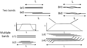 Schematic diagrams illustrating geometry and formation mechanisms of compaction band clustering and widening: (a1 and a2) two sub-parallel bands; (b1 and b2) two bands forming eye structures; (c1 and c2) sub-parallel multiple bands with thickness distributions; and (c3 and c4) imbricated echelon multiple bands with splay bands. Simplified from Torabi et al. (2015).
