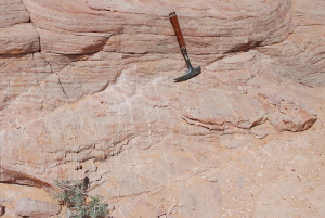 A set of deformation bands with remarkably narrow spacing in thinly bedded Aztec sandstone exposed on the southern extension of the geomorphic feature identifying the Willow Tank at Valley of Fire State Park, Nevada.