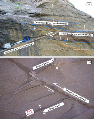 Shear bands and the associated splay dilation bands in poorly consolidated terrace deposits of 83 ka age near McKinleyville, northern California. (a) A shear band zone with a thrust offset of about 80 cm as evident by an offset conglomerate unit highlighted by dashed blue line boundaries; (b) a shear band zone and the associated splay dilation bands formed along the bedding.