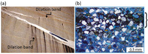 (a) Map of dilation bands associated with a low-angle shear band of thrust sense in poorly consolidated deposits of the Savage Creek marine terrace, McKinleyville, California. (b) One of the dilation bands shown in (a) in thin section. Blue corresponds to an epoxy material filling the pore space. The macroscopic band of about 1 mm in thickness corresponds to that identified in the photomicrograph, which is highligted by a relative concentration of darker cement composed of clay minerals, iron oxide, and organic matter. From Du Bernard et al. (2002).