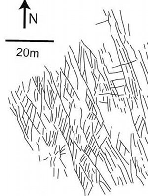 One dominant systematic set of joints which were subsequently sheared producing a highly dense group of splay joints in granodioritic rocks, Donner Pass, Nevada. There is another set of splays in near E-W orientation in the upper left part of the map. Note that some splays occur at high-angle to the sheared joints between narrowly spaced sheared joints. From Aydin (2002).