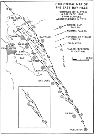 East Bay Hills structural domain located between the Hayward and Calaveras faults defining a large-scale compressional stepover very much like a fold and thrust belt. From Aydin and Page (1984).