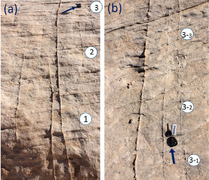 Compaction bands with discontinuous geometry exposed in a nearly 3D exposure of the Aztec Sandstone about 0.5 miles west of the Willow Tank parking lot. (a) captures a near vertical section on which three echelon compaction bands are marked. (b) shows the upper part of the outcrop with an almost flat exposure showing the lateral segmentation of compaction band number 3. Note that the location of the car key as scale (marked by arrows) is the same in both photos.