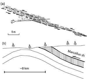 (a) A series of cleavage duplexes formed at relays between bed-parallel thrust faults with large overlaps. (b) Large scale section showing the Marcellus Shale depicted to be deformed primarily by cleavages. From Nickelson and Cotter (1983) and Aydin (1988). This version is from Aydin (2014).