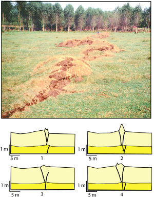 A series of push-up structures known as 'mole tracks' associated with the surface rupture of the North Anatolian Fault near the town of Izmit, western Turkey. Geological sections across each of these show the amount of local uplift and thrusting on the bounding faults. The average right-lateral slip along the rupture at this locality was about 4 m while the maximum uplift was about 80 cm. From Aydin and Kalafat (2002).