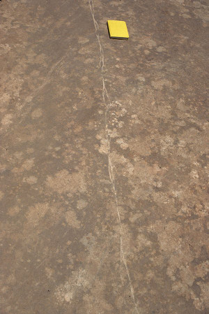 A series of shear band segments which are hard-linked on a pavement of Navajo Sandstone. Field notebook is about 20 cm long.