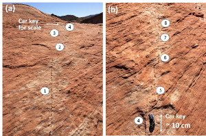 A series of shear bands numbered from north to south on a pavement of Aztec Sandstone near the Willow Tank thrust front, east of the Willow Tank parking lot, Valley of Fire State Park, Nevada. Note that Number 4 in both frames is the same. (a) is nearly a cross section; (b) is nearly a map view. Also, some of the adjacent segments are not linked but some others in the southern end of the (b) frame are hard linked.