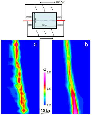 (a) Model configuration showing two planar discontinuities at the edges, one of which propagates into initially undeformed area under a constant rate of far field left-lateral shearing of 5 mm/yr. (b) Non-colinear distribution of damage variable (a) in an early stage. (c) A highly smooth damage pattern interpreted to be a through-going fault zone in a mature stage. From Lyakhovsky and Ben-Zion (2009).