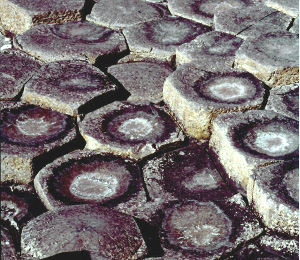 Columns of rock of about 40 cm diameter defined by joints on five or six sides in a volcanic rock exposed along the scenic coastal Northern Ireland. Note that the top morphology of the exposed columns is defined by column-normal fractures and erosion. See Aydin and DeGraff (1987) for more details.