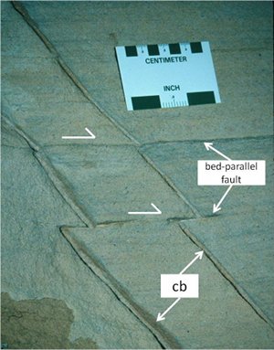 Low-angle bedding-plane faults offsetting two older high-angle compaction bands (cb) (top to right sense as indicated by arrows) in sandstone exposed at Valley of Fire State Park, Nevada.