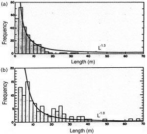 Length/frequency distribution plots for joints on two outcrops of granodioritic rocks of the central Sierra Nevada, California, showing possible power-law distribution. From Segall and Pollard (1983).