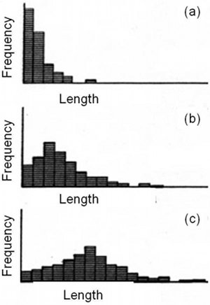 Summary diagram of opening mode fractures length/frequency distribution as determined from brittle coating experiments in the laboratory. It is apparent that the initial stages have many small fractures and few large ones (a). The maximum length bin gradually shifts to the right (b and c) as the applied strain or its cycle increases. From Wu and Pollard (1992).