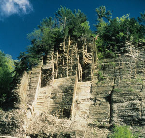 A relatively wider joint zone in the clastic rocks exposed on a steep river bank. The width of the frame is about 25 m. Taughannock Falls, Finger Lakes, NY.