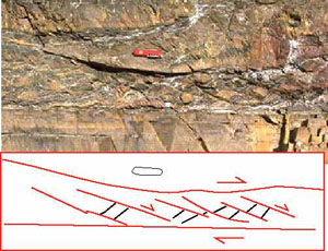 Photo of a fault zone with Riedel shear pattern. The small right-lateral faults are gently inclined to the strike of the main fault. The whole zone presents overall right-lateral shear. By M. B. Miller, from http://darkwing.uoregon.edu/~millerm/.