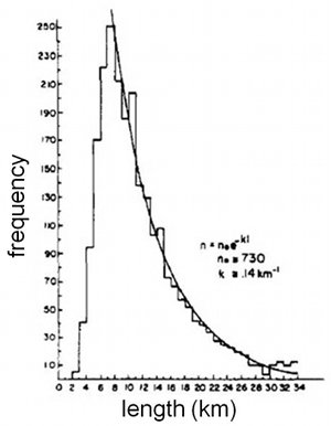 Length distribution of lineaments with a few tens of kilometers maximum lengths. The form was interpreted to be negative exponential by the author. From Nur (1982).