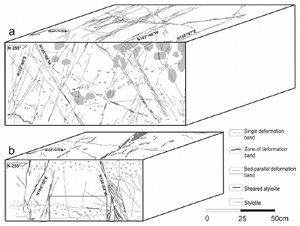Block diagrams (a, b) showing multiple sets of deformation bands and pressure solution seams (stylolites) and their shearing in carbonate grainstone at the Madonna della Mazza quarry in northeastern Maiella Mountains. From Tondi et al. (2006).