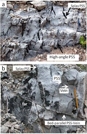 Two photographs showing (a) high-angle sheared pressure solution seams and their splays, and (b) bed-parallel and high-angle to bedding pressure solution seams and calcite veins (white) adjacent and sub-parallel to the seams on the SW wall of the Roman Quarry, near Lettomanoppello. From Aydin et al. (2005).