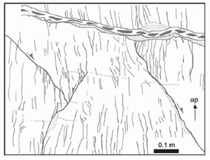 The map shows small-offset (mm to cm slip) incipient faults in marls of the Tre Grotte Formation formed by shearing in a thrust sense of bed interfaces and bed-parallel pressure solution seams. Splay pressure solution seams oblique to bedding and their subsequent shearing in a normal sense produced splay joints in the terminal areas of the sheared splay pressure solution seams. Note that a chert layer near the top of the frame separates distinctly different domains. As illustrated somewhere else such layers often localize bed-parallel shear. From Antonellini et al. 2008.