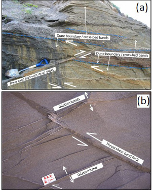 (a) Two sets of thrust faults and an associated sub horizontal dilation band set in splay orientation. Also shown are thrust offsets (the blue lines showing the offset markers). (b) The interpreted dilation bands sub-parallel to the slightly inclined cross-beds. Revised from Eichhubl et al. (2003) and Du Bernard et al. (2002).