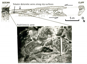 Diagenetic cementation associated with a fault formed by shearing of joints at high-angle to bedding in a dolostone unit of the Monterey Formation at Jalama Beach, California (see inset location map in Figure 1). The map shows the architecture of a fault zone with about 4 m left-lateral slip, in which tabular bodies of dolomite cement occur adjacent to, and parallel with, the slip surfaces. A thick breccia zone (Inset photo) is present between the bounding slip surfaces. The concentric dolomite cement layers wrap around small fragments of host rock, which must have been created mechanically. Scale in Inset is 22 cm. Courtesy of Peter Eichhubl (2000).