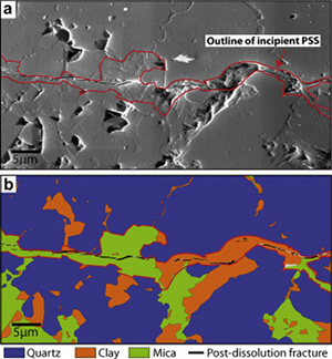 Secondary electron image (a) and false color image (b) of a through going incipient single PSS at high magnification. The seam is identified as a mica- and clay-rich core between multiple truncated quartz grains. Segmented open fractures along the zone are due to a younger deformation phase or thin sectioning. Note the irregular boundaries due to the mergers of lobes of undissolved material to the linear PSS.