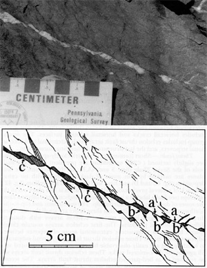 Photograph and drawing of a bed-parallel echelon thrust fault array. Individual thrust faults (labeled as 'a') are slightly oblique to bedding (dotted lines). Adjacent faults are connected by calcite-filled pull-aparts (labeled as 'b'). A composite pull-apart vein is marked as 'c.' From Ohlmacher and Aydin (1995).
