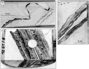Photographs of cores showing (a) pressure solution seams or stylolites; (b) residue seams referred to as flaser by the authors; and (c) massive residue seam zone as a central layer. The light gray streaks in the seams are remnant chalk lenses. Core diameter is 10 cm (~4 inches). All in the Chalk Group from Machar oil field North Sea, UK. From Safaricz and Davison (2005).