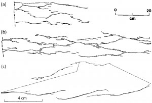 Trace maps showing arrays of pressure solution seams in various scale with linked and unlinked echelon segments in the Selinsgrove Limestone Member of the Onandaga Formation cropping out in the Valley and Ridge Province, central Pennsylvania. Slightly rearranged from Mardon (1988).