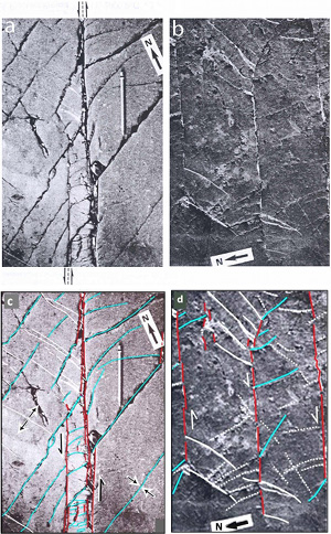 (a) and (b) Outcrop photographs of pressure solution seams (PSS), splay PSSs, and splay veins in limestone from Languedoc, France. From Petit and Mattauer (1995). (c) and (d) are annotated copies by us. In each case left-lateral faults (red lines) are quite clear. Splay PSS (turquoise lines) and nearly symmetric splay veins (white lines) show interesting distributions and orientations. Splay PSSs within the overlapping faults are closely-spaced and make higher angles to the faults. Dotted white lines are veins either formed along the PSSs or formed at right angle to the existing splay veins.