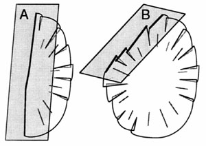 Joint trace geometries as a function of orientation of exposure surface. A. A nearly straight and continuous trace. B. A segmented, discontinuous trace. From Pollard and Aydin (1988).