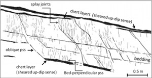 Bedding-parallel faults in marl in the Majella thrust sheet, central Apennines, Italy. Thin chert layers and other bed interfaces localize shearing and produce splay pressure solution seams (thicker lines at an acute angle to bed) which have in turn sheared judging from the associated splay joints (thinner lines at acute angles to the splay seams). There are also background pressure solution seams both parallel and perpendicular to bedding which were not differentiated here. From Antonellini et al. (2008).