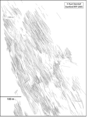 Trace map of the set of compaction bands in the photograph in Figure 1. The individual bands are at high angle to bedding and they range from a few meters to hundreds of meters in length distributed over an area of about 35 acres. From Sternlof and Karimi-Fard (2005).